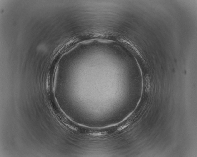 X0000082710740200702091747