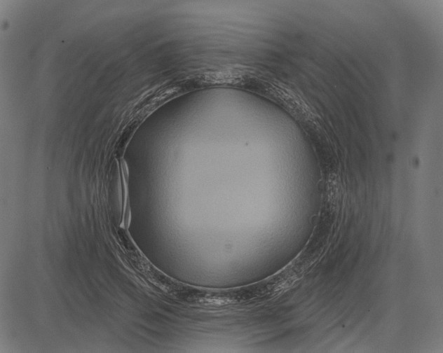 X0000082710741200702091747