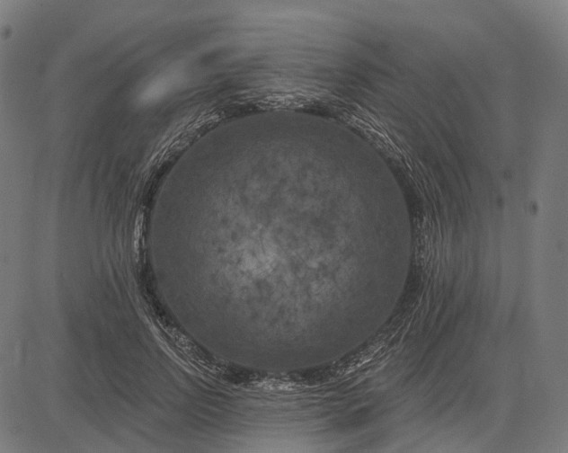 X0000082710742200702091747