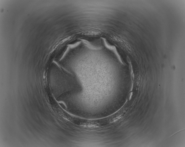 X0000082710743200702091747