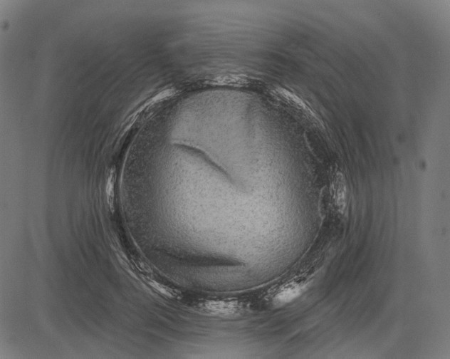 X0000082710744200702091747