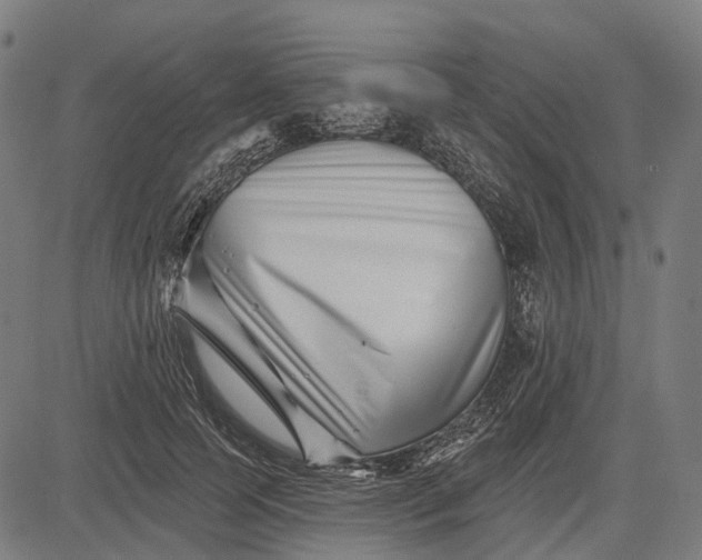 X0000082710745200702091747