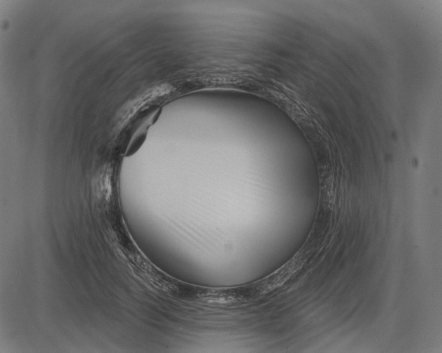 X0000082710746200702091747