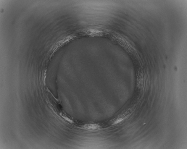 X0000082710748200702091747