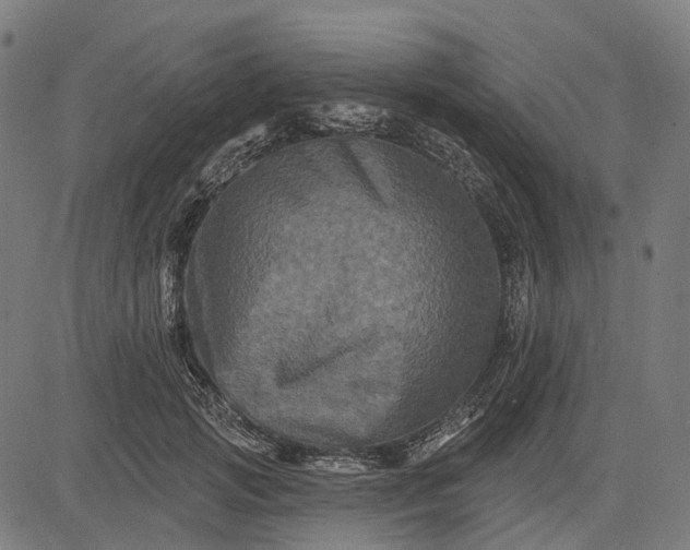 X0000082710749200702091747