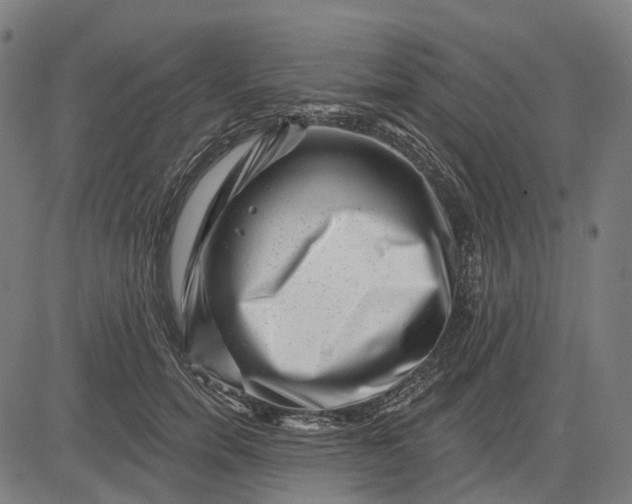 X0000082710750200702091747