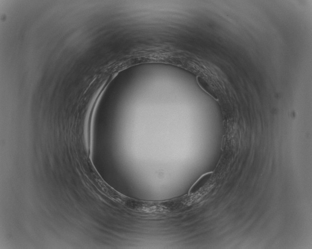 X0000082710752200702091747