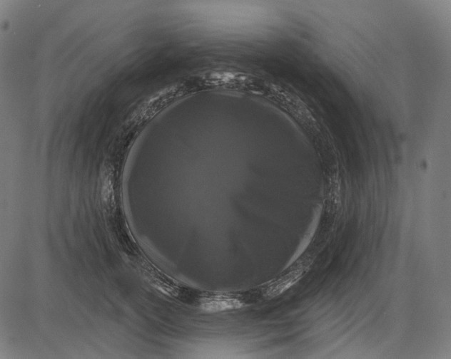 X0000082710754200702091747