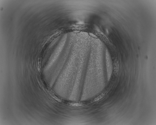 X0000082710755200702091747