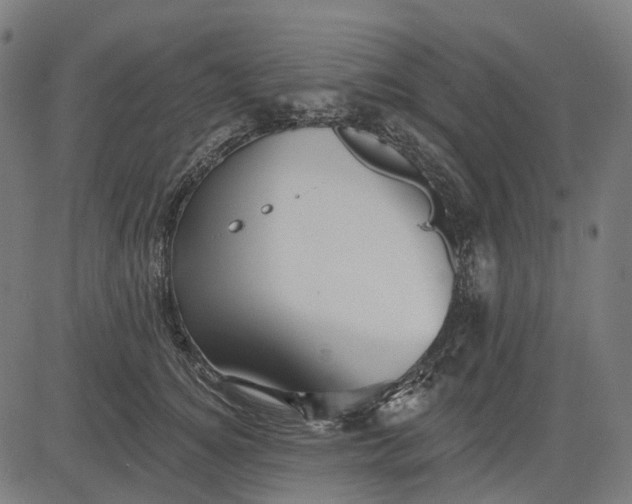 X0000082710756200702091747