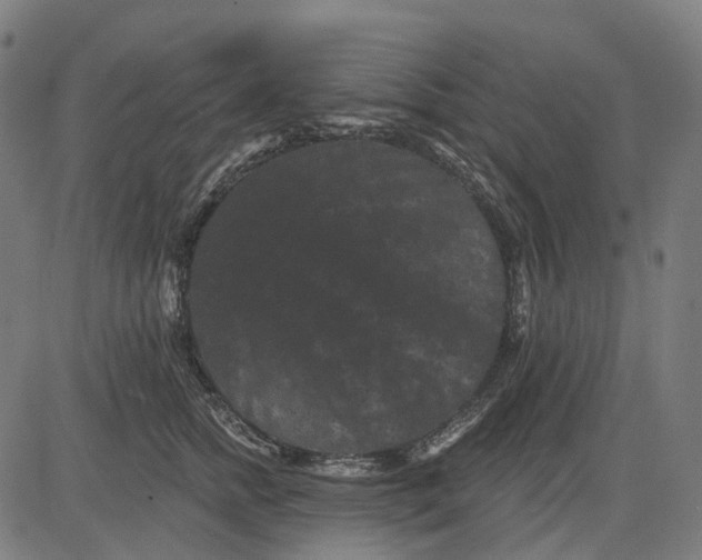 X0000082710758200702091747