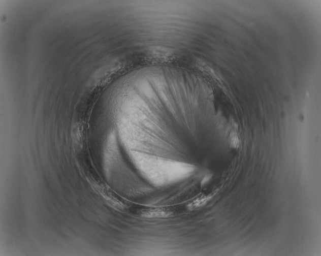 X0000082710759200702091747