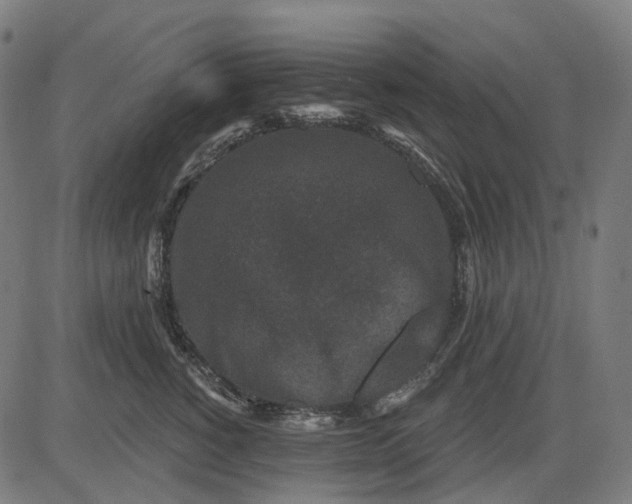 X0000082710760200702091747