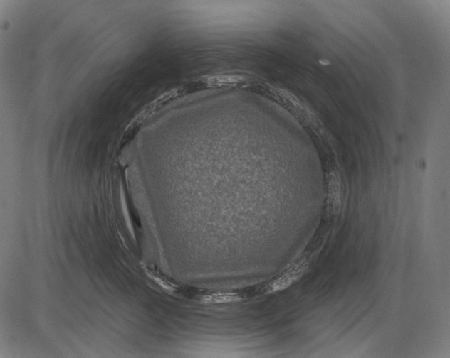 X0000082710761200702091747