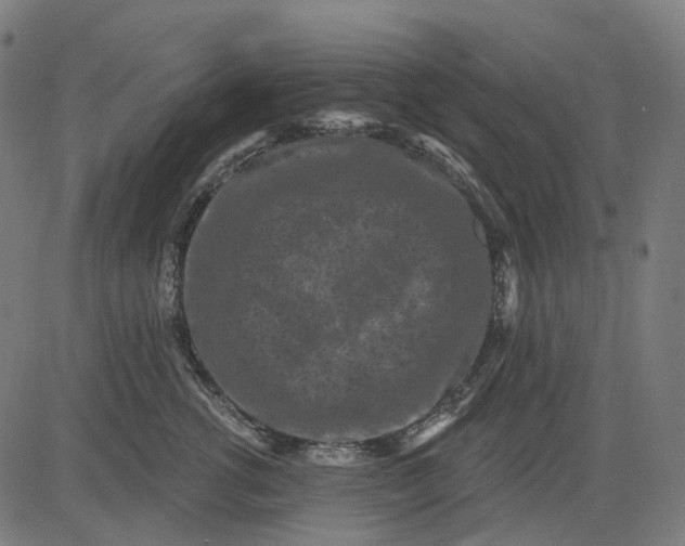 X0000082710762200702091747