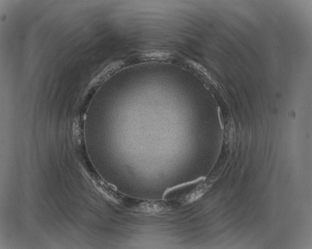 X0000082710764200702091747