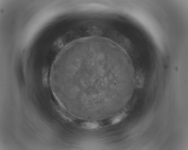 X0000082710765200702091747