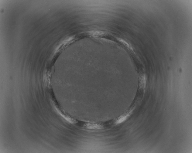 X0000082710766200702091747