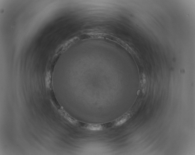 X0000082710767200702091747