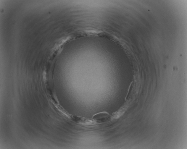 X0000082710768200702091747