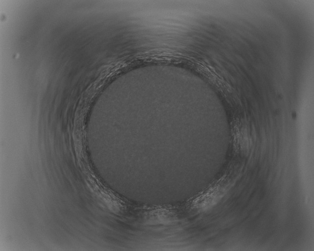 X0000082710769200702091747