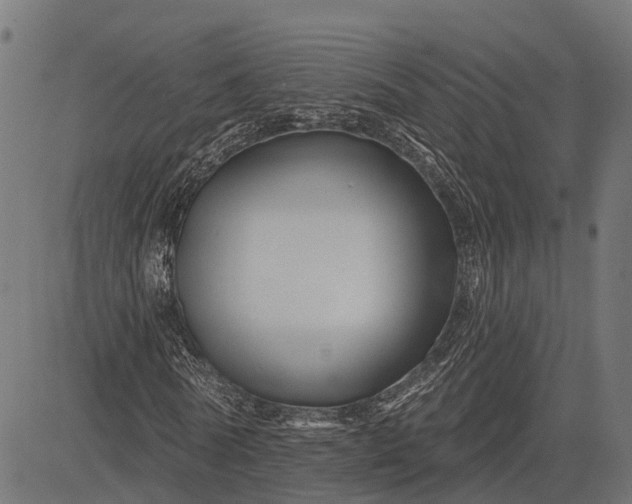 X0000082710770200702091747