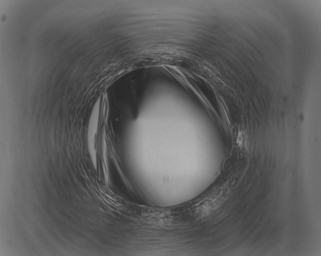 X0000082710771200702091746