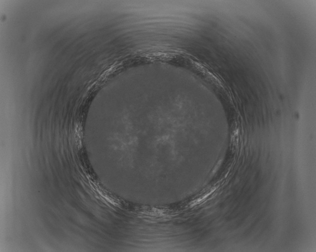 X0000082710772200702091746