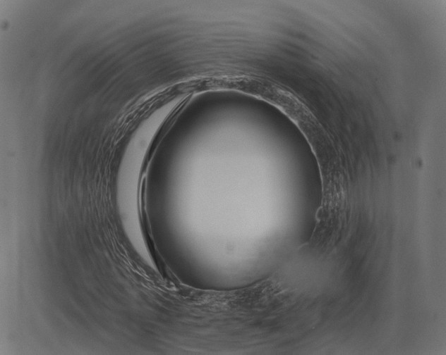 X0000082710773200702091746