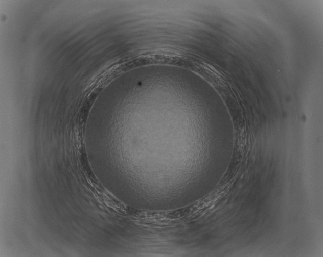 X0000082710774200702091746