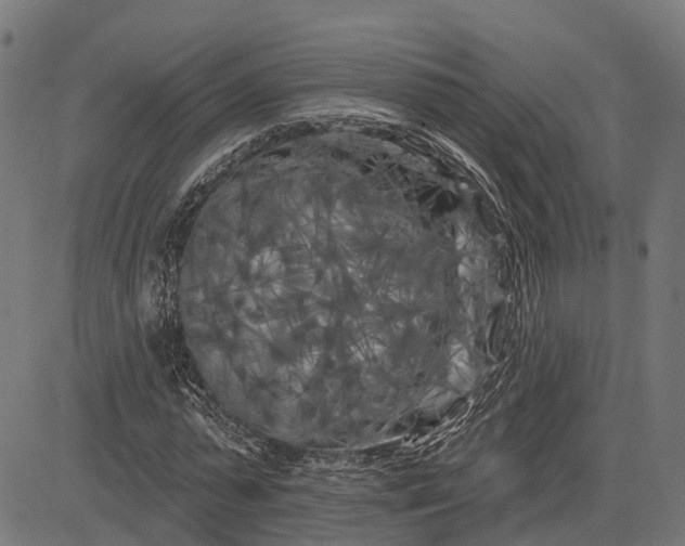 X0000082710775200702091746