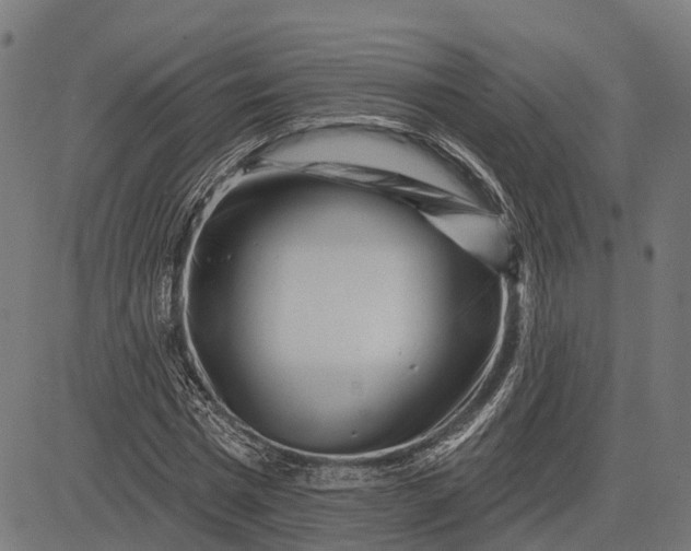 X0000082710777200702091746