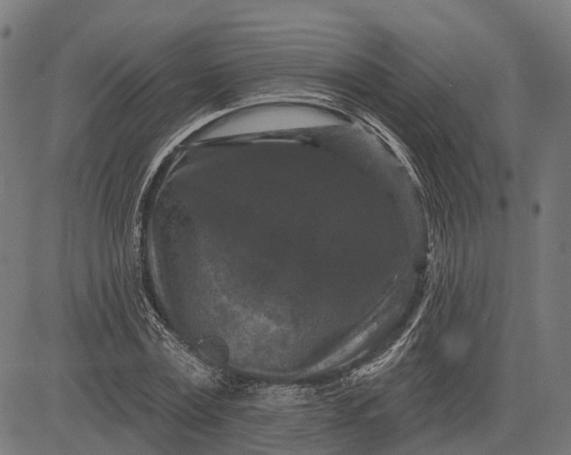 X0000082710779200702091746