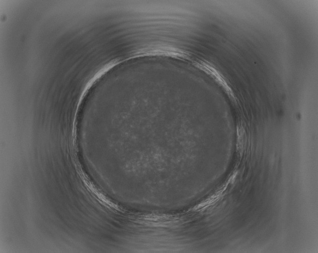 X0000082710780200702091746