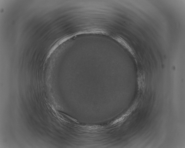 X0000082710781200702091746