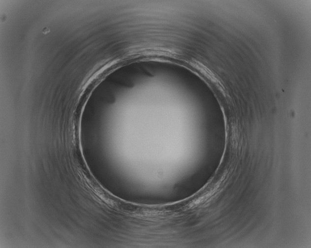 X0000082710782200702091746