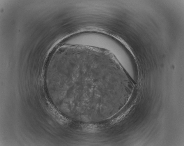 X0000082710783200702091746