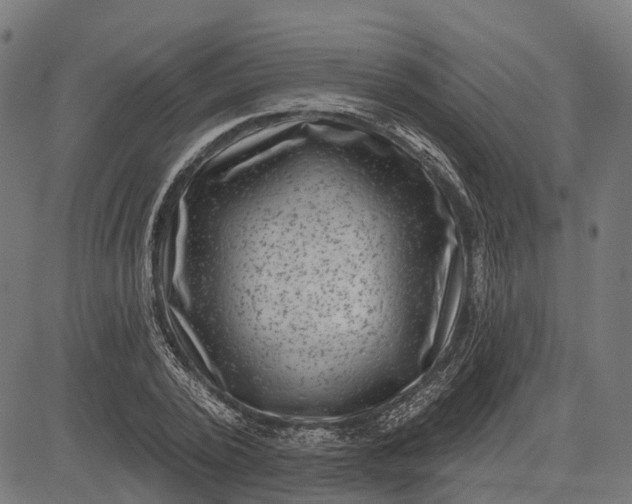 X0000082710784200702091746