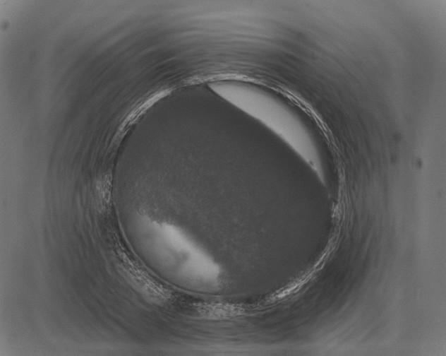 X0000082710785200702091746