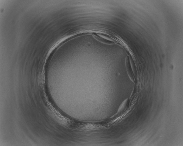 X0000082710787200702091746