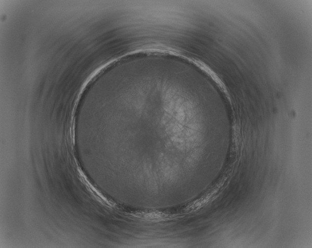 X0000082710791200702091746