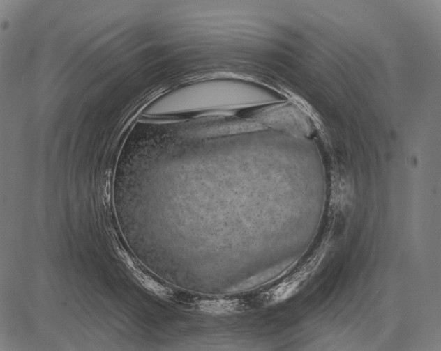 X0000082710793200702091746