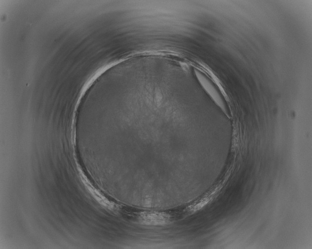 X0000082710795200702091746