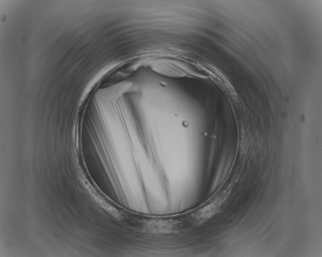 X0000082710796200702091746