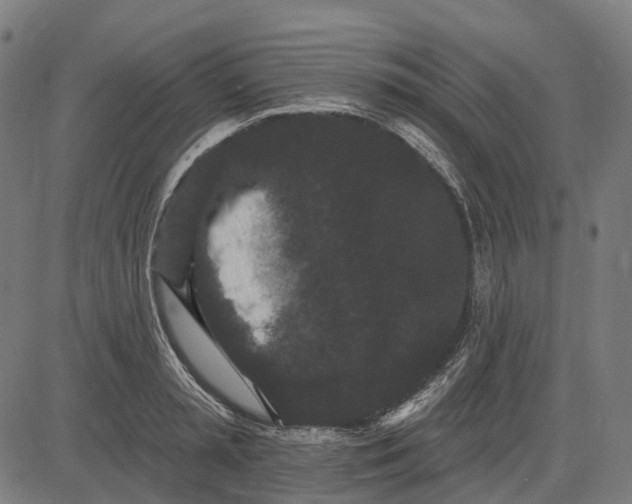 X0000082710797200702091746