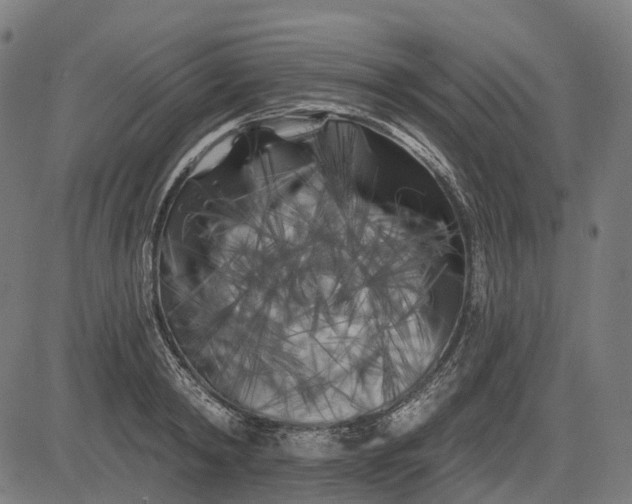 X0000082710798200702091746