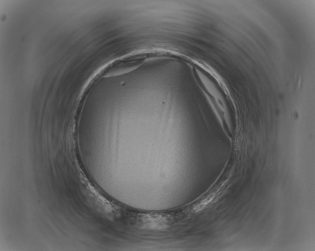 X0000082710799200702091746