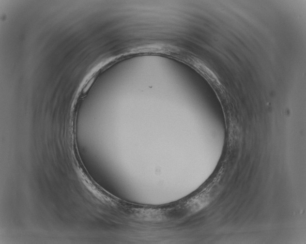 X0000082710800200702091746