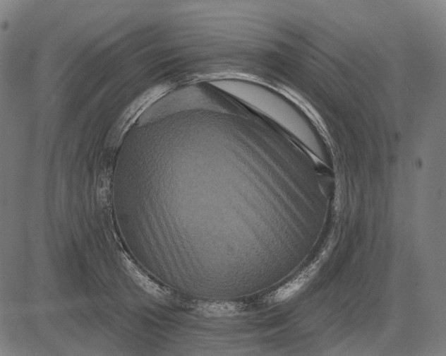 X0000082710801200702091746