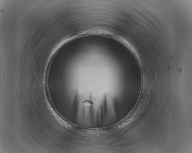 X0000082710803200702091746